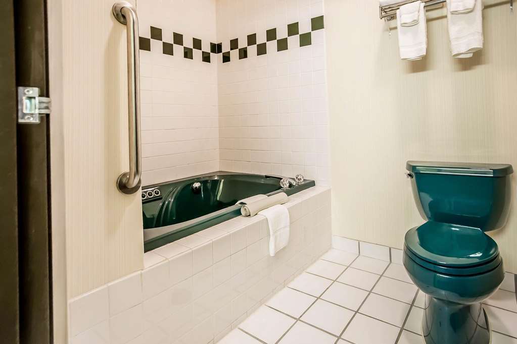Quality Inn & Suites Mendota Near I-39 Room photo